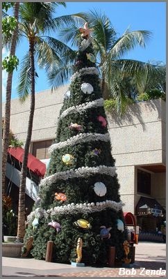 Honolulu Holidays 3